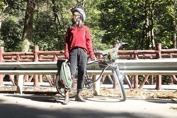 bike triangle bag